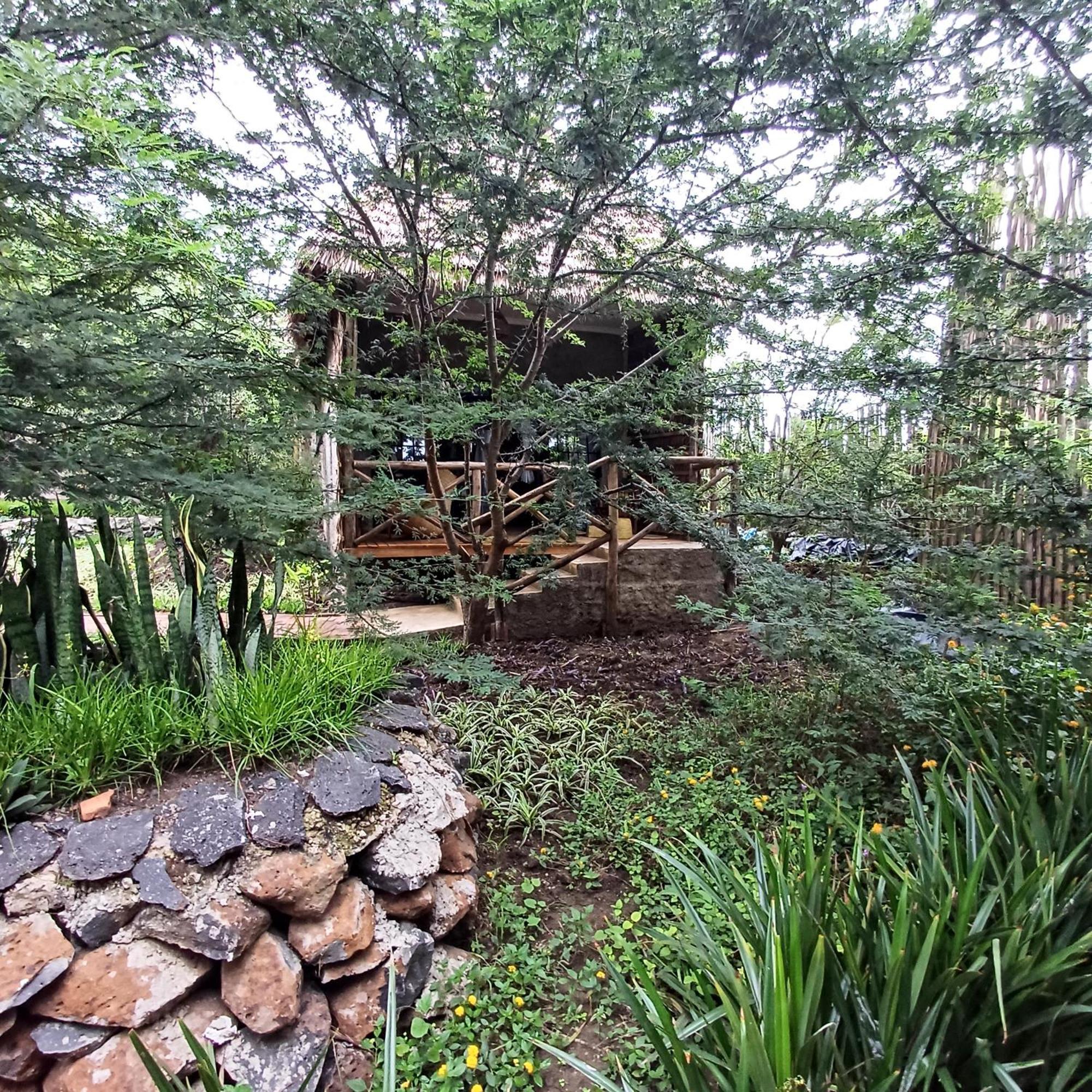 Kutoka Lodge Αρούσα Εξωτερικό φωτογραφία